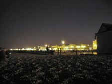 regency seafront by night