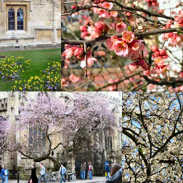 Oxford in the springtime (low res)