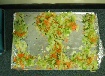 salad on a tray